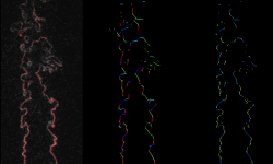 figure2 enlarged sides below
