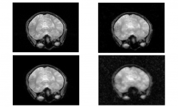 applications sampling 1